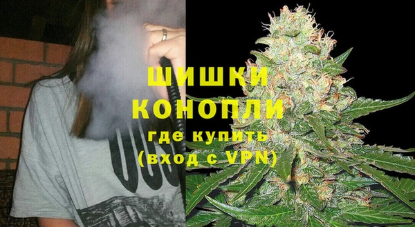 шишки Богородск
