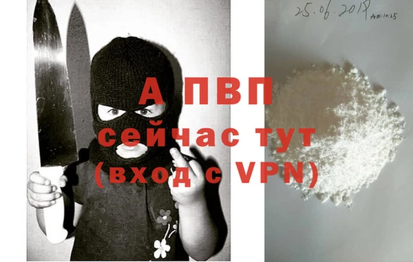 сатива Нягань