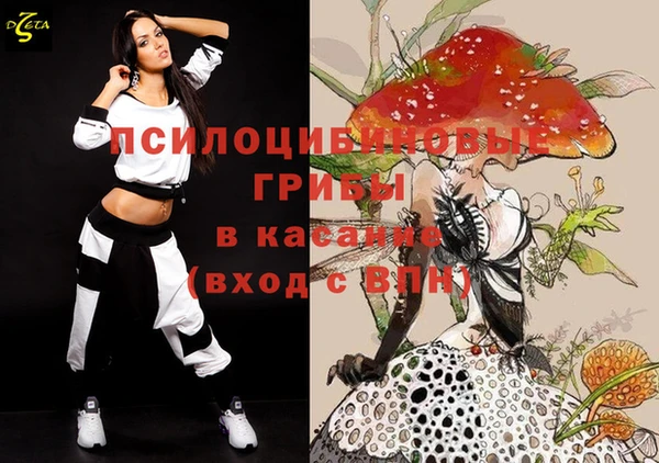 МДПВ Богородицк