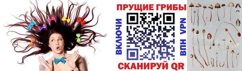 Псилоцибиновые грибы ЛСД  Благодарный 